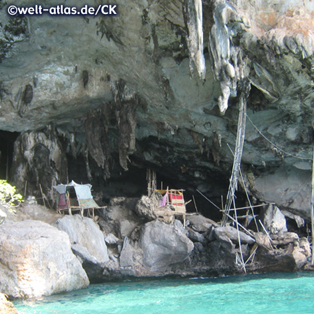 'Viking Cave' on Ko Phi Phi Lee is a place, where the people are collecting swift's nests for Bird's Nest Soup