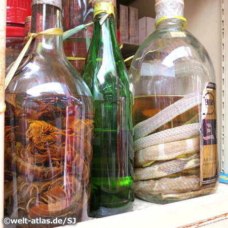 Bottled snakes, Chinatown, Singapore