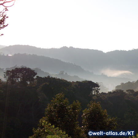 Cameron Highlands, Malaysia