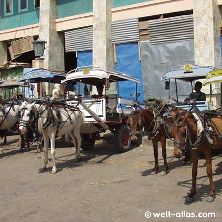 praktisch und günstig,Pferdekutschen vor der Markthalle in Gunung Sari, "Lombok-Taxi"