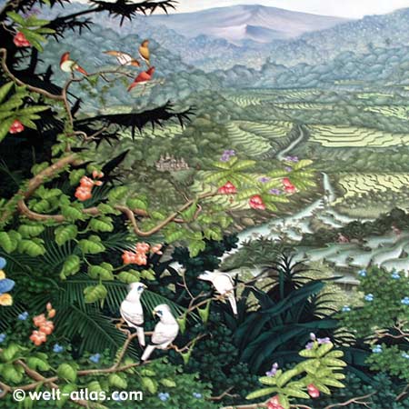 Rice terraces and volcano with multicolored birds