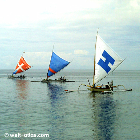 Drei heimkehrende Fischerboote auf ruhigem Meer, typische Segel, Bucht von Senggigi