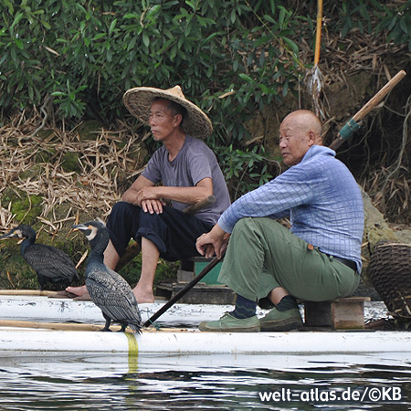 Traditional cormorant fishing on the Li River near Guilin