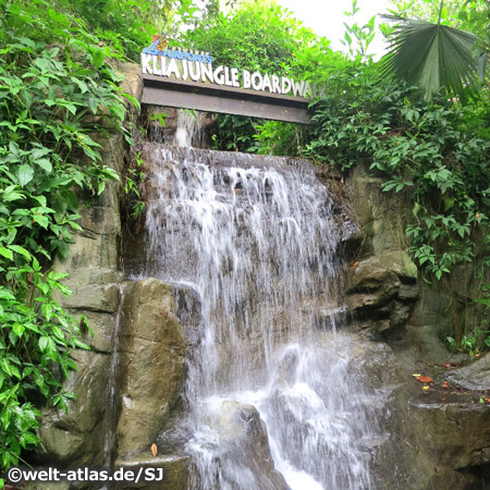 Jungle Boardwalk, Erholung am Wasserfall mitten im Flughafenterminal