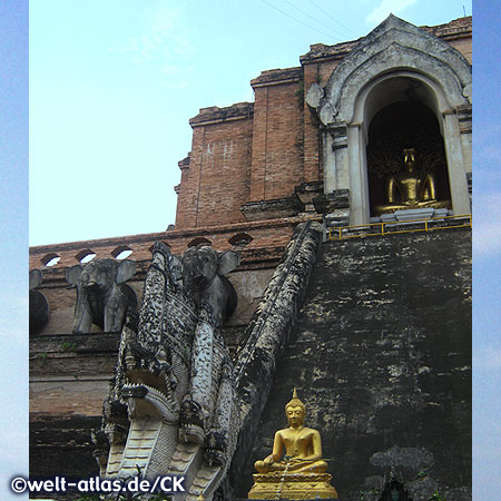 Wat Chedi Luang, temple of the big stupa in the historic center of Chiang Mai