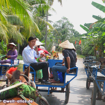 Our tour by car, boat and horse cart, Mekong River Delta