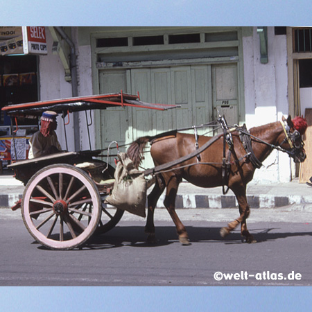 Pferdekutschen sind Transport- und Verkehrsmittel auf Sumatra