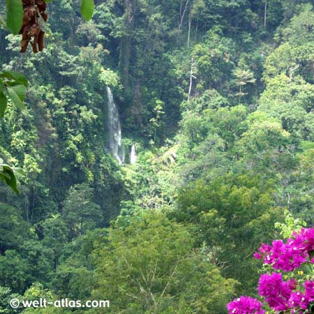 Waterfall Sendang Gila, Lombok, Indonesia