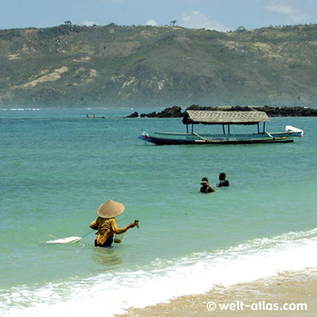 Fischer bei der Ernte von Seetang,Kuta, Süd-Lombok am Strand