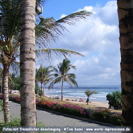 Palms, beach and ocean, Bali