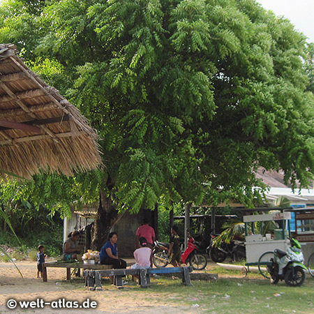 People sitting under a mimosa tree, Bali