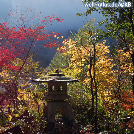 Farbenprächtige herbstliche Laubfärbung in einem japanischen Garten mit alter Steinlaterne 