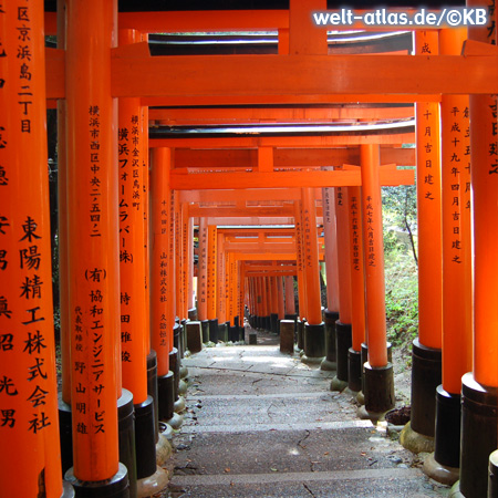 Weg mit roten Toren (Torii) zum Inneren des Shintō-Schreins Fushimi Inari-Taisha der Stadt Kyōto