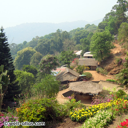 Doi Pui National Park, Thailand,Provinz Chiang Mai