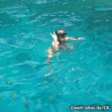 Schnorcheln mit den Fischen im türkisfarbenem Wasser von Ko Phi Phi Don, Provinz Krabi