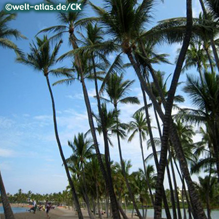 Waikoloa Beach in Big Island, Hawaii