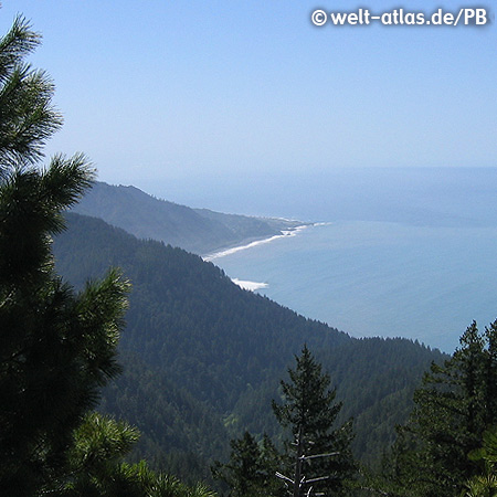 Kaliforniens Lost Coast nördlich von San Francisco