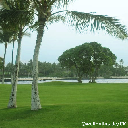 Waikoloa auf Big Island, Hawaii 