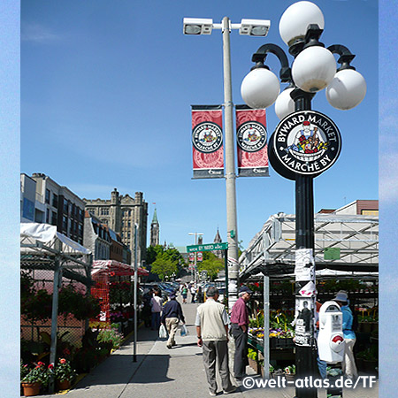 York Street, Byward Market in Ottawa
