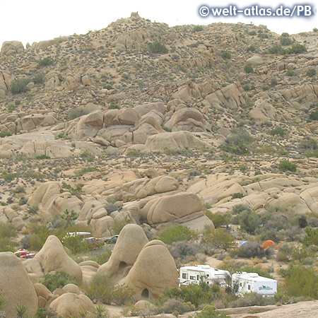 Joshua Tree National Park, Wüstenlandschaft im Südosten Kaliforniens, USA