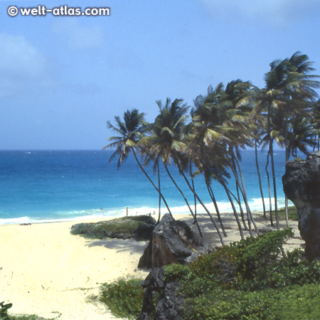 Bottom Bay, Barbados - eine der schönsten Buchten der Insel, mit Schatten. Starke Strömung und Brandung