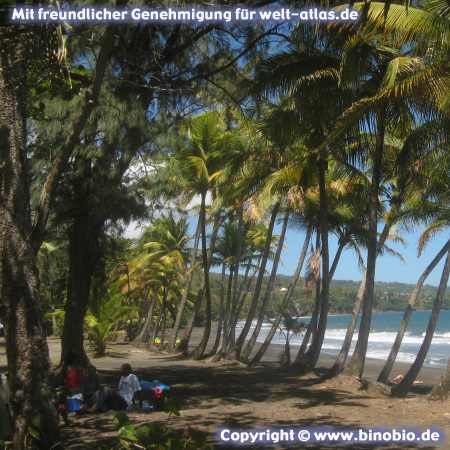 Palmenstrand an der Grande Anse auf Basse Terre, Guadeloupe Fotos: Reisebericht Guadeloupe, guadeloupe.binobio.de