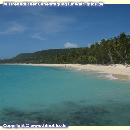 Der schöne Strand La Feuillère mit seinem türkisfarbenem Wasser auf der Insel Marie GalanteFotos: Reisebericht Guadeloupe, guadeloupe.binobio.de