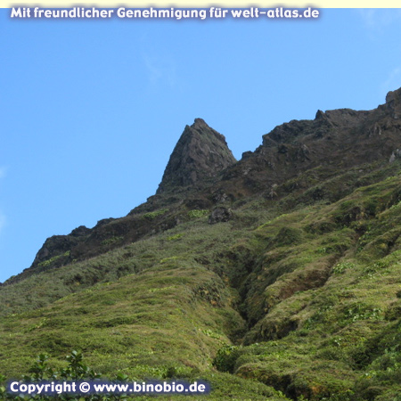 La Grande Soufrière of Basse-Terre, Guadeloupe