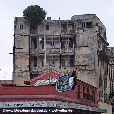 Famous bar in the center of Havana, where Ernest Hemingway had his Daiquiris –  Photo: www.blog.dennisknickel.dealso see http://tupamaros-film.de