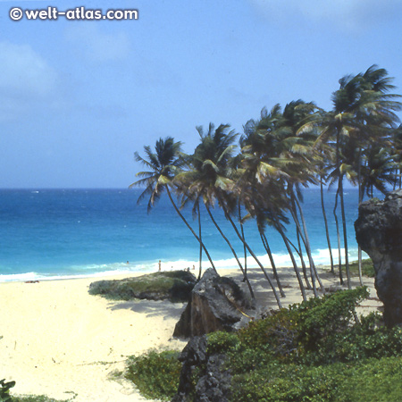 Bottom Bay, Barbados - eine der schönsten Buchten der Insel, mit Schatten, starker Strömung und Brandung