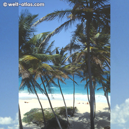 Bottom Bay, Barbados - eine der schönsten Buchten der Insel, mit Schatten, starker Strömung und Brandung