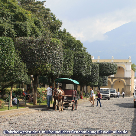 Park and horse cart in in Antigua Guatemala