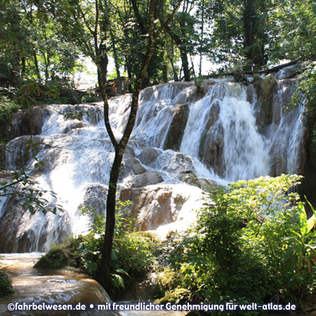 Cataratas de Agua Azul, Wasserfälle südlich von Palenque – Foto:©fahrbelwesen.de