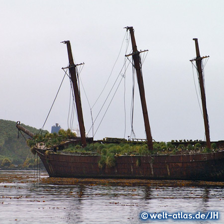 Wreck of Bayard, bay of Ocean Harbour, South Georgia 