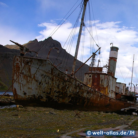Wrack eines Walfängers, Grytviken, Südgeorgien