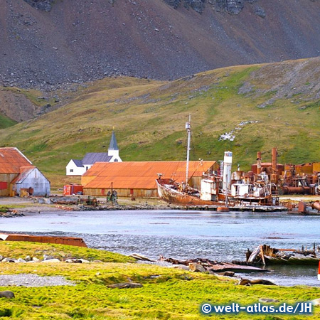 Kirche und Schiffswrack im Hafen von Grytviken, ehemalige Walfangstation in Südgeorgien