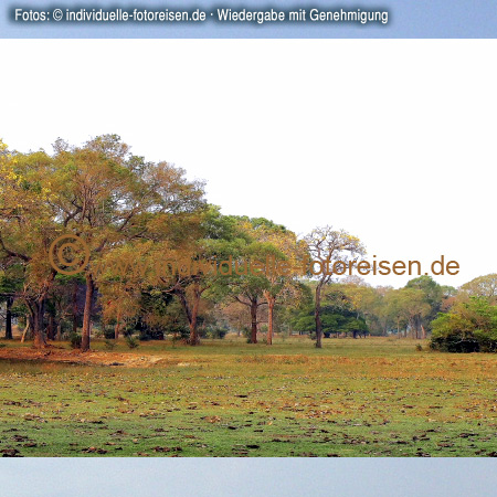 Landschaft im Pantanal