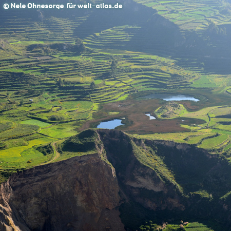 Terraces and ponds at the deep Colca Canyon