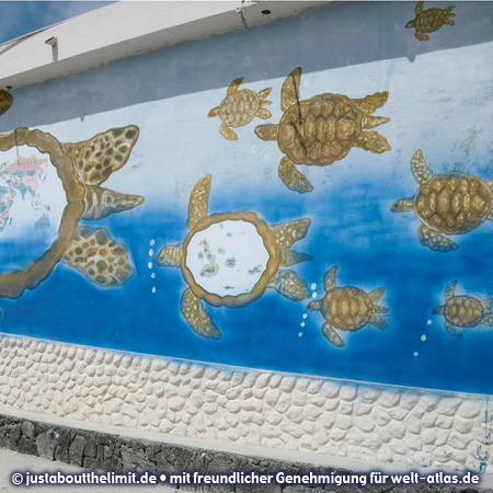 Wandbild mit Schildkröten in Puerto Villamil auf der Galápagos Insel Isabela